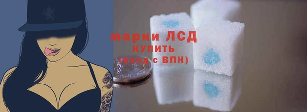 ALPHA PVP Белокуриха