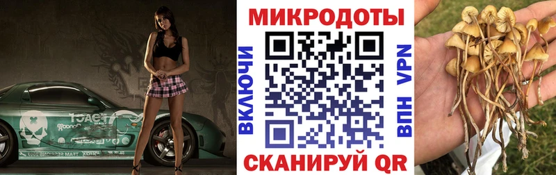 Псилоцибиновые грибы Psilocybe  купить наркотики цена  Йошкар-Ола 