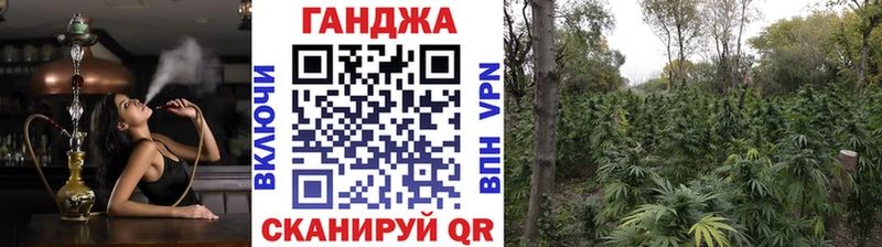 Каннабис сатива Йошкар-Ола